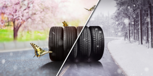 neumático de invierno y verano